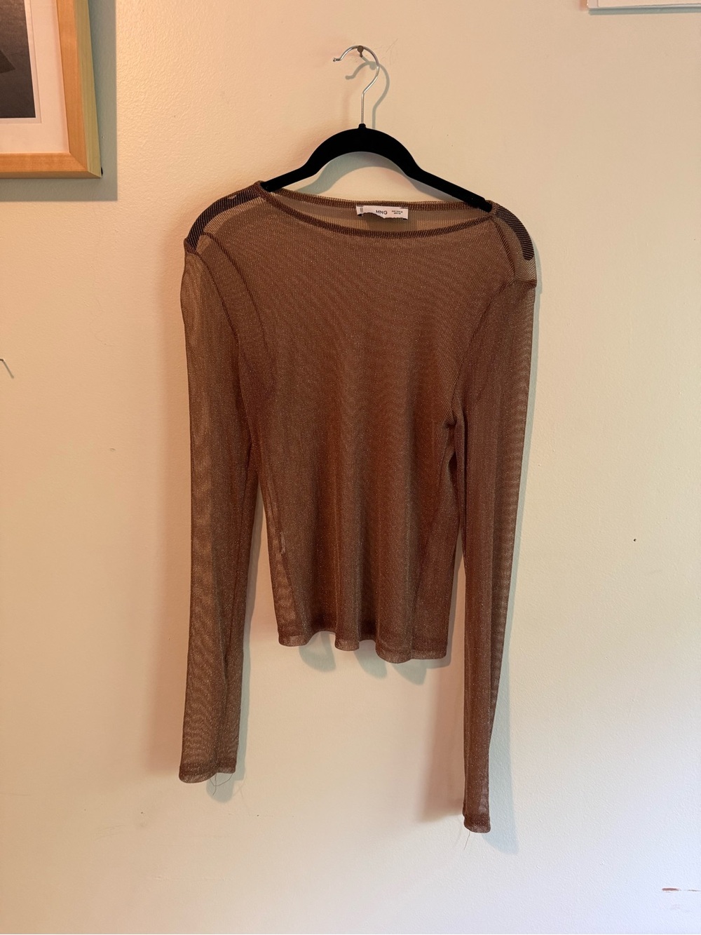 Mango Sheer Long-Sleeve Mesh Top in Brown
